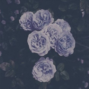 五月婷婷综合在线
