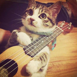 五月婷婷综合在线
