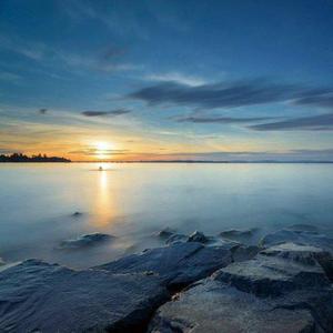 五月婷婷综合在线
